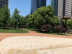 -陆家嘴中心绿地