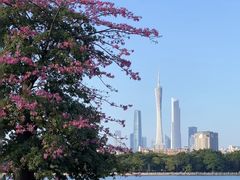 -榆扉·高空City View府邸(广州天河珠江新城正佳广场旗舰店)