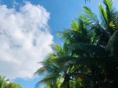 -清水湾旅游度假区