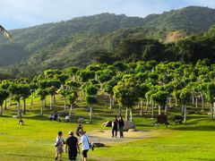 -龙洞风景区-藏龙涧