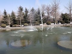 -石家庄市植物园