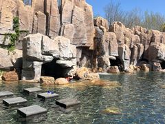 -盘锦红海温泉乐园