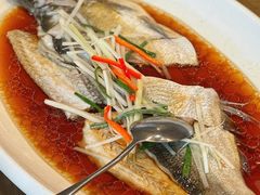 -丹江渔村(望京店)