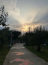 -甜果乐园