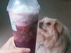 -喜茶(广州番禺奥园广场店)