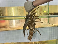 -碗中海·蒸汽海鲜·桑拿鸡(岭南天地店)