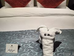 -常州环球恐龙城维景国际大酒店