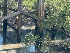 -北海金海湾红树林生态旅游区