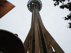 -澳门旅游塔360°旋转餐厅(南湾湖广场店)