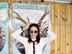 -鹿境梅花鹿生态园区