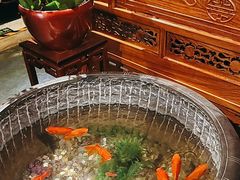 -小吊梨汤·北京菜·烤鸭(望京四元桥购物中心店)