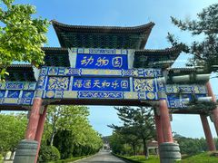 -西霞口神雕山野生动物世界
