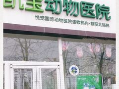 -悦宠凯宝动物医院·牙科·皮肤科(朝阳北路店)