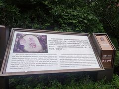 -庐山风景区花径公园