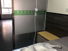 -爱侣宠医·鹦鹉专科·小型哺乳类·异宠专科(灵石路店)