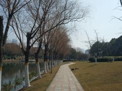 -天鹅湖体育公园
