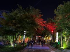 -淹城春秋乐园