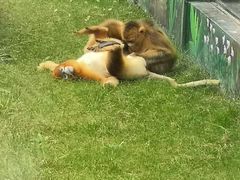 -西安秦岭野生动物园