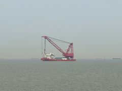 -上海滨江森林公园