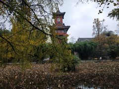 -四川大学(华西校区)