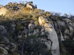-大岭沟猕猴桃谷风景区