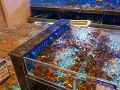-一麦·龙岛(上海青浦店)