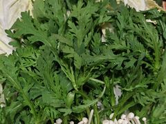 -蝎王府羊蝎子(西直门店)