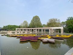 -石家庄市植物园