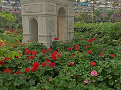 -南宫五洲植物乐园