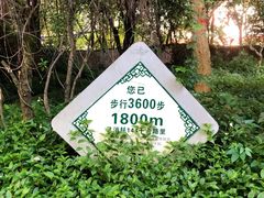 -凤凰山国家森林公园