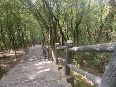 -紫金山山顶公园