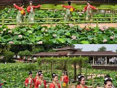-广州莲花山旅游区