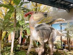 -湖南省地质博物馆