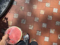 -中山市树木园