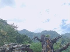 -龙湾潭国家森林公园