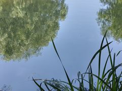 -梁鸿国家湿地公园