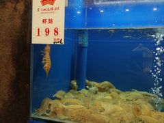 水产区-宁波状元楼酒店(和义路店)