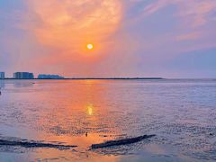 -奉贤海滩