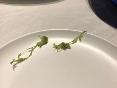 -大鸭梨烤鸭(枣园店)