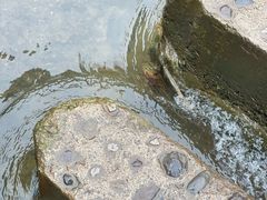 -华蓥山天意谷景区