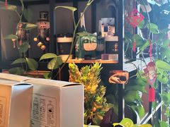 -ZING COFFEE 镜咖啡