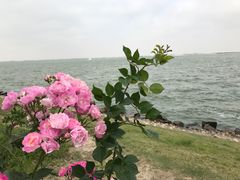 -上海滴水湖皇冠假日酒店