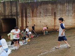 -九龙湖公园