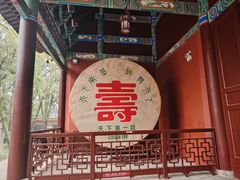 -南岳大庙