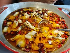 -蜀龙阁· 龍头水煮鱼(天坛店)