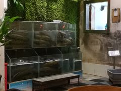 水产区-江南鱼捞(北仑银泰城店)