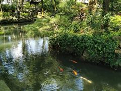-天一阁博物院