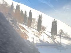 -新疆那拉提国家旅游度假区