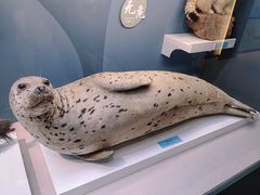 -国家自然博物馆