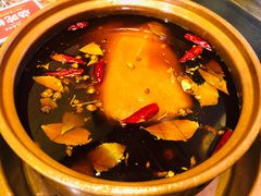 红汤锅底-镇江龙·火锅串串(武侯祠店)